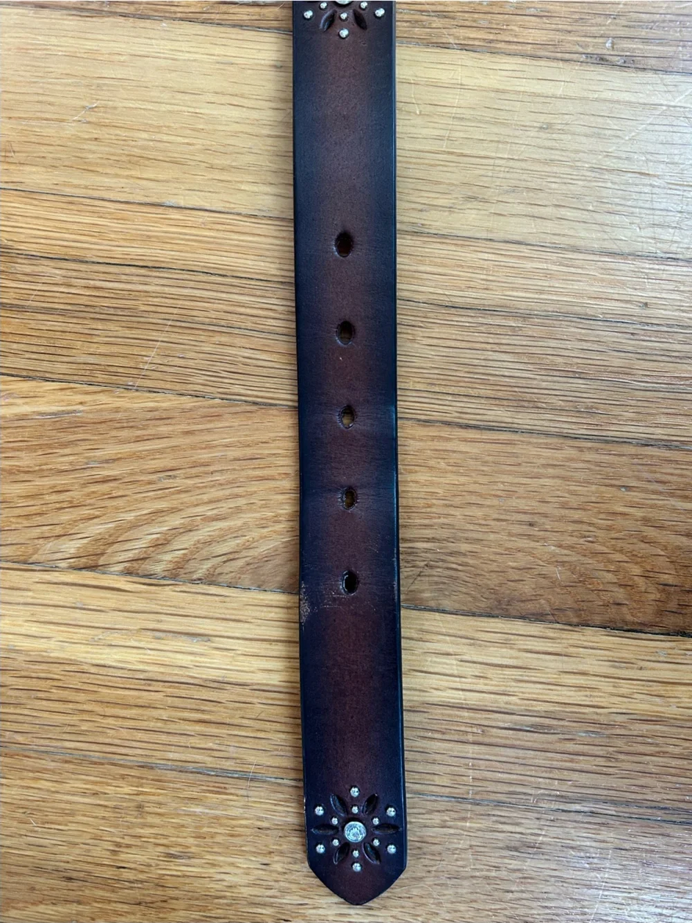 Ariat Kid’s Recycled Leather Belt with Horse and Horse Shoe Details - size 22